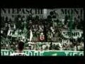 Highlights Serie A - 2008